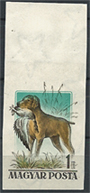 1956. MAGYARORSZÁGI KUTYFAJTÁK 1,- Ft-os / Tarajos réce/, vágott, postatiszta