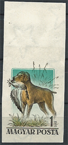 1956. MAGYARORSZÁGI KUTYFAJTÁK 1,- Ft-os / Tarajos réce/, vágott, postatiszta