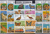 Sahara Occidental  képes 38 klf. bélyeg,a  csomagban 5 értékes sorozat is van