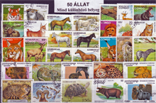 Állatok (csak négylábúak)-50 klf. bélyeg tükörben, szépen kirakva!