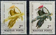 1985. Madarak (XI.) J.J. Audubon festménye alapján