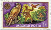 Madarak (csak ragadozó)