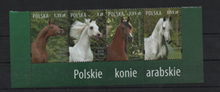 2007. Arab lovak, sorozat csíkban