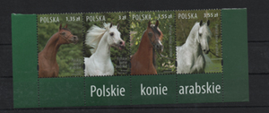 2007. Arab lovak, sorozat csíkban