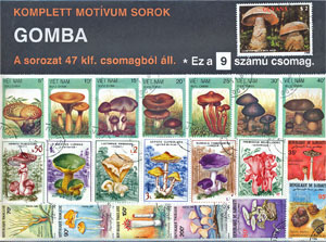 09. Gomba