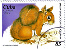 Állatok (csak négylábúak)