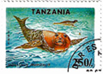Delfin, cápa, fóka, rozmár, pingvin