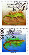 Gyíkok, kigyók, hüllök