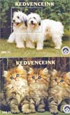 2000. Kedvenceink - Emlékív pár