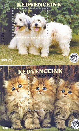 2000. Kedvenceink - Emlékív pár