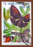 Lepkék, pillék, molyok