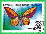 Lepkék, méhek, bogarak