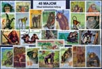 40 klf. Majom bélyeg