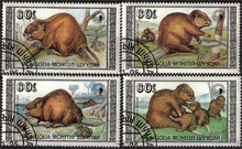 1989. Rágcsálók 4 ért.