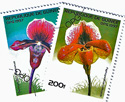 Orchideák