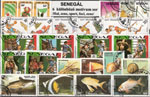 SENEGAL 5 klf. sor