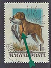 1956. MAGYARORSZÁGI KUTYFAJTÁK 1,- Ft-os / Tarajos réce/, bélyegzett